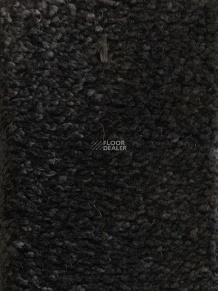 Ковролин  Black фото 1 | FLOORDEALER